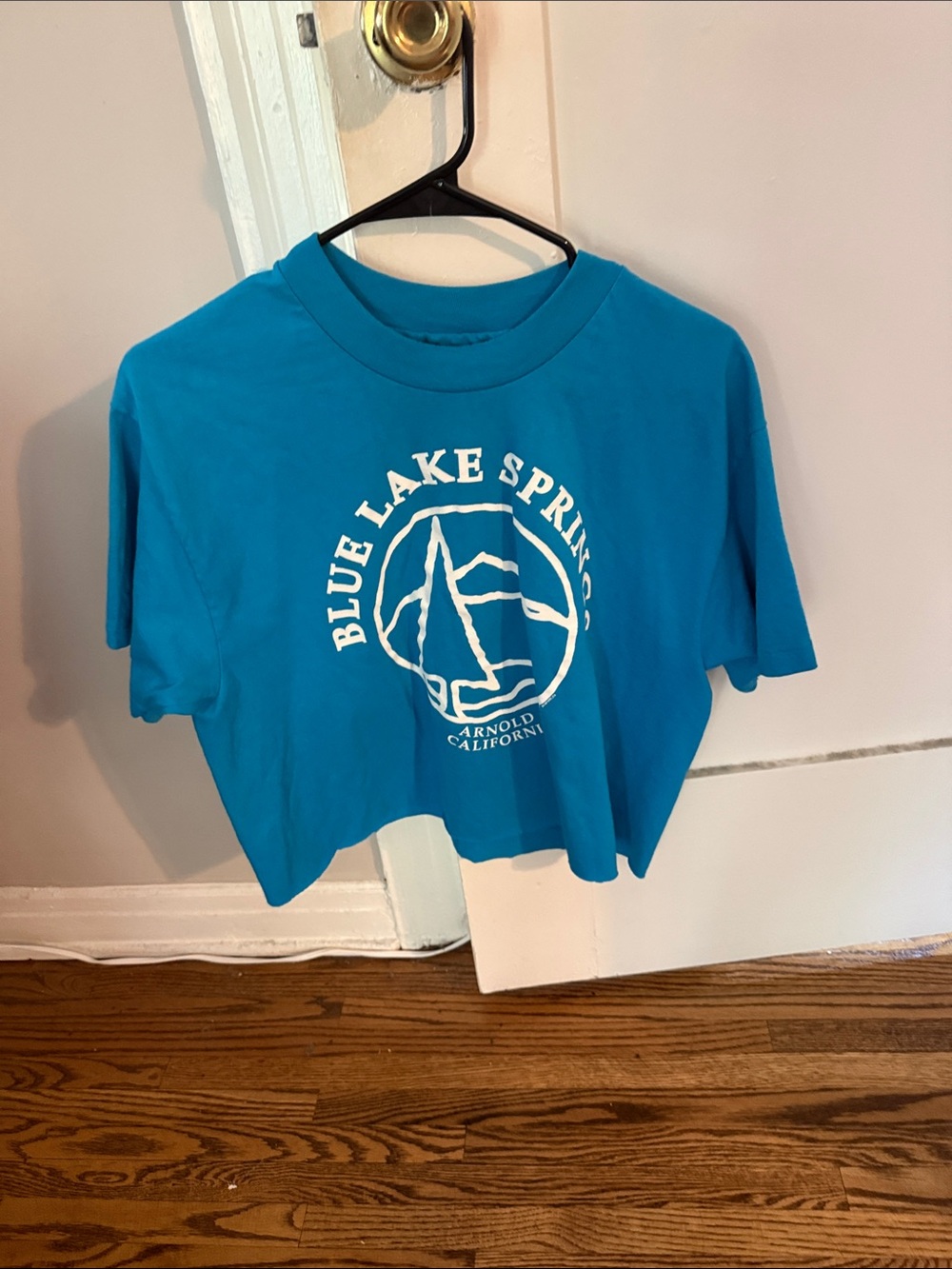 Blue Lake Springs Graphic Crop Tee - Turquoise with White Logo